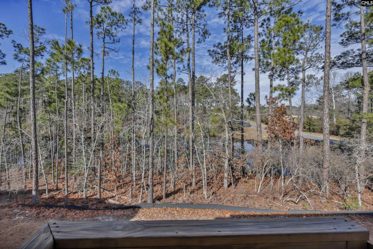 204 Sapphire Gem Lane Photo 43