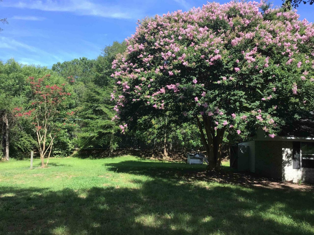 1044 Forest Dr. Photo 29