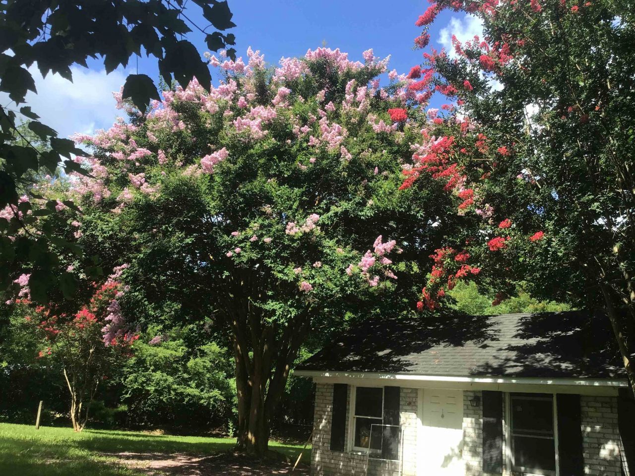 1044 Forest Dr. Photo 30