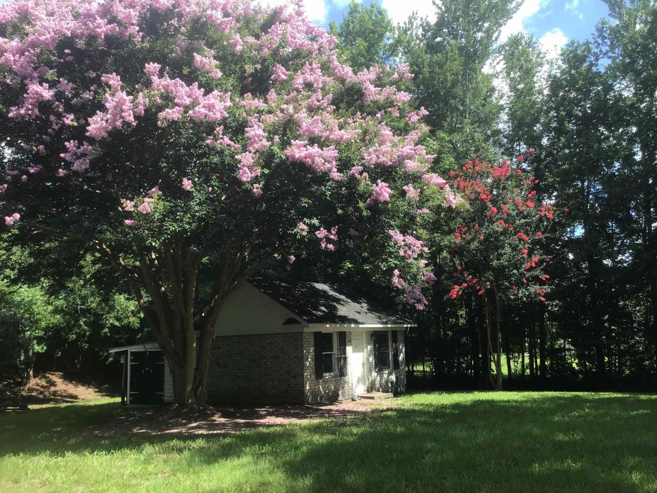 1044 Forest Dr. Photo 31