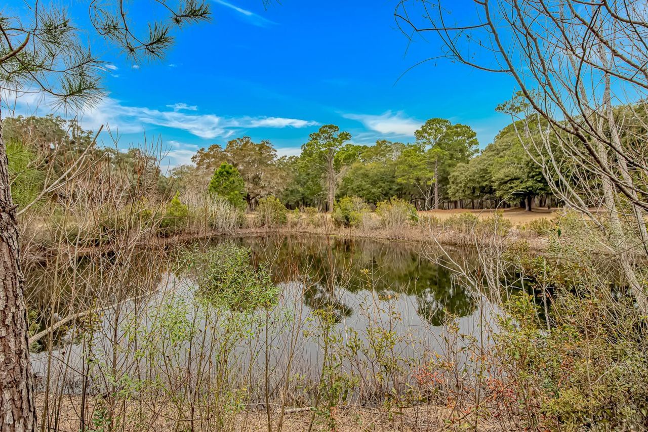 766 Algonquin Dr.  Photo 36