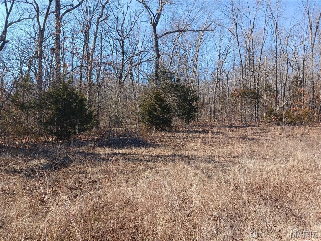 837 Pine Ridge Road, Bonne Terre, MO 63628 Main Photo