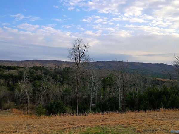 27 Magnolia Drive, Piedmont, AL 36272