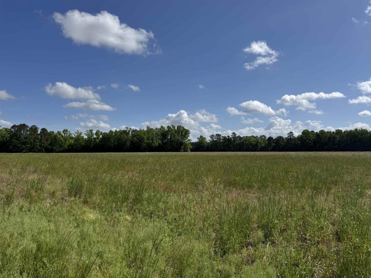 4633 Grainger Circle Photo 16