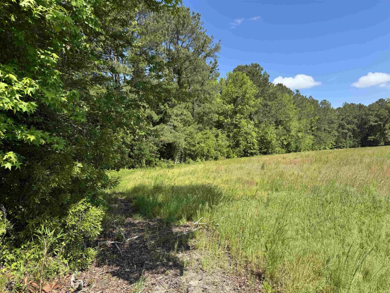 4633 Grainger Circle Photo 17