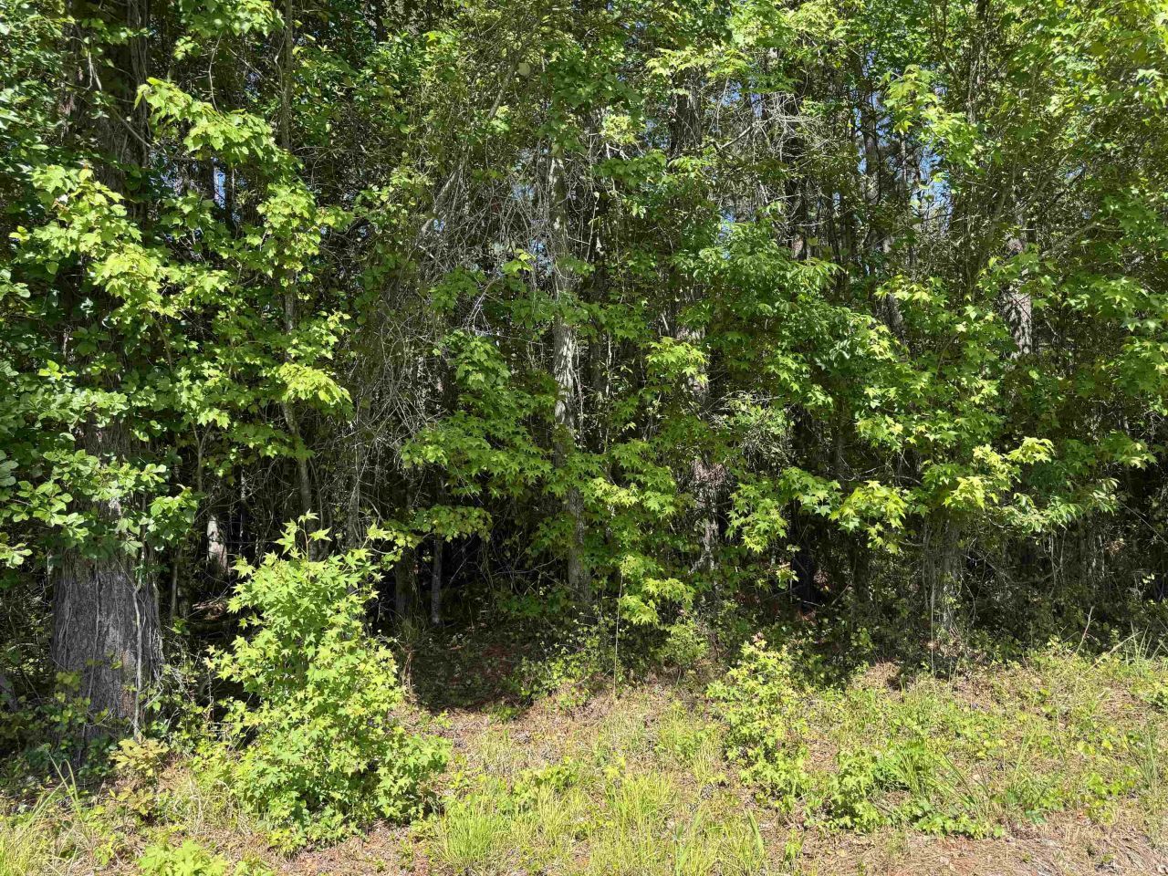 4633 Grainger Circle Photo 18