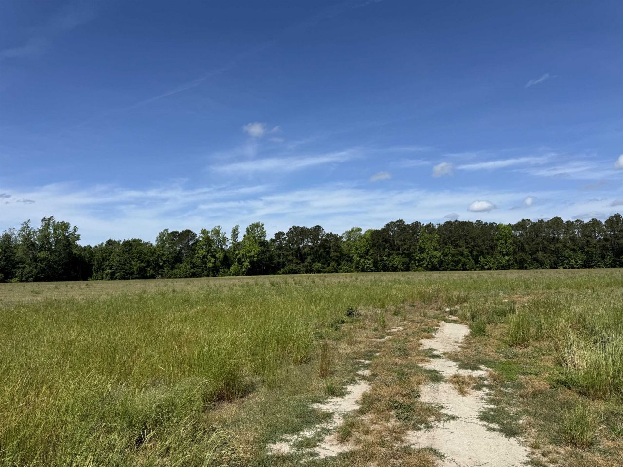 4633 Grainger Circle Photo 19