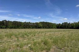 4633 Grainger Circle photo 4