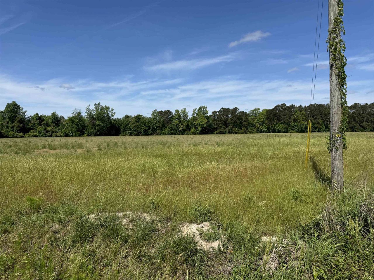 4633 Grainger Circle Photo 22