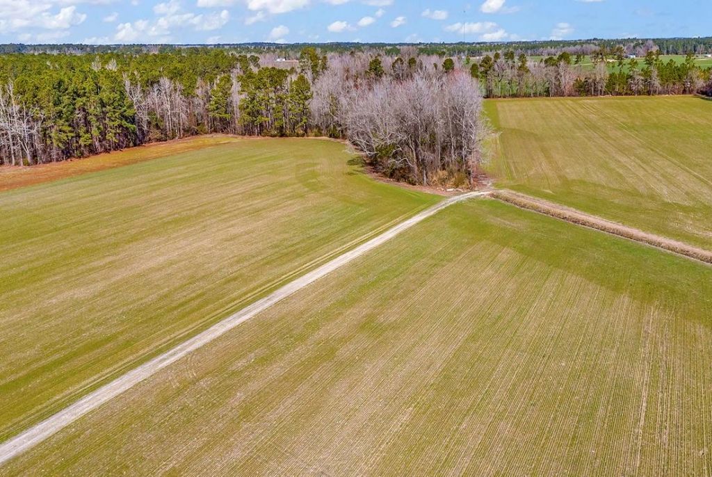 4633 Grainger Circle Photo 9