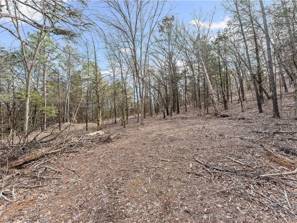 9172 Wedgewood Drive, Garfield, AR 72732