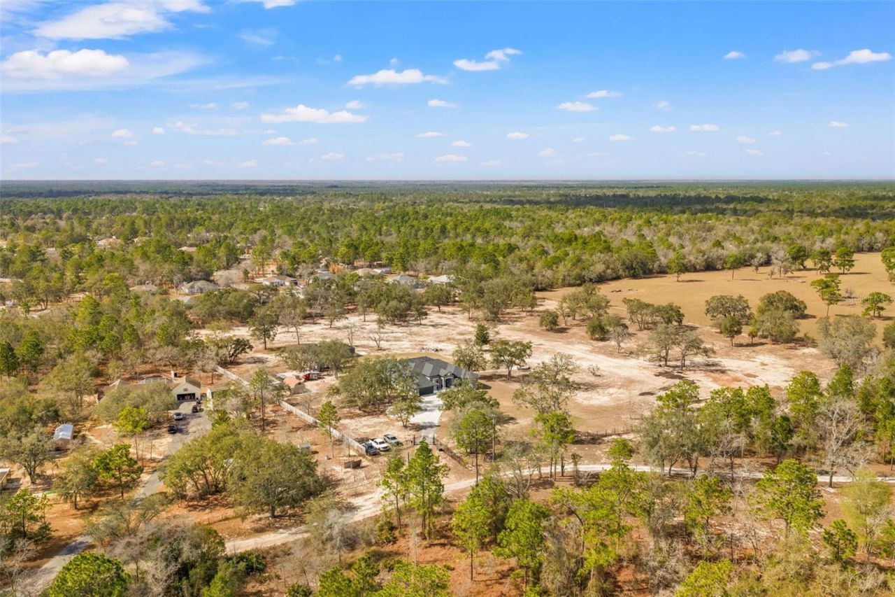 12277 Eskimo Curlew Road, Weeki Wachee, FL 34614 Photo