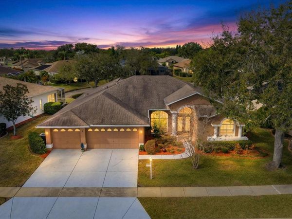 1237 RAMBLING VINE COURT, TRINITY, FL 34655
