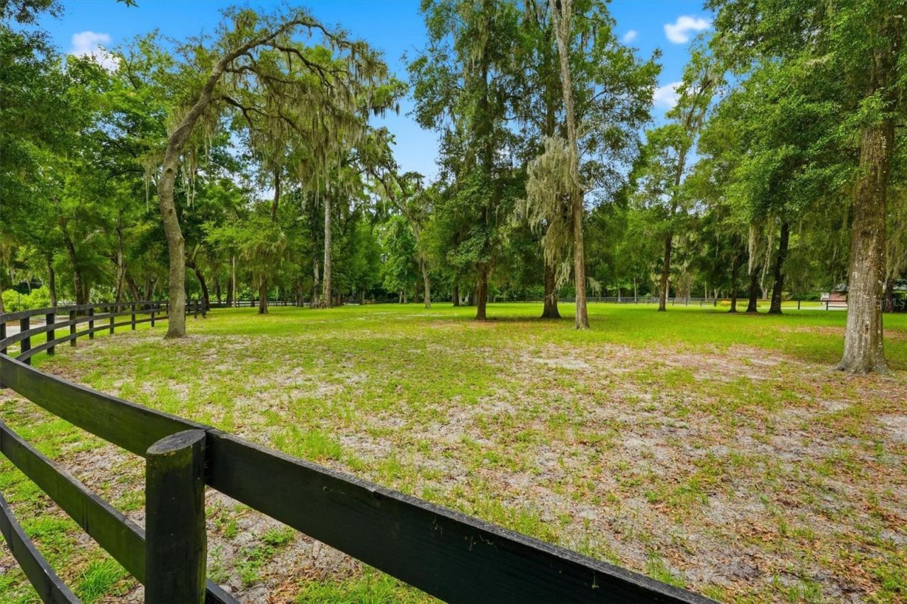 3551 E Highway 329, Anthony, FL 32617 Photo