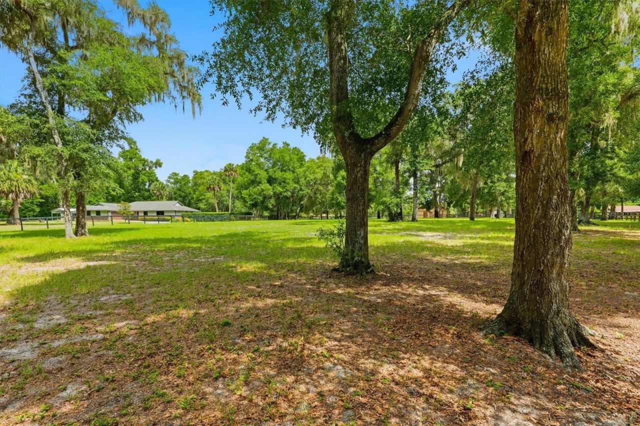 3551 E Highway 329, Anthony, FL 32617 Photo