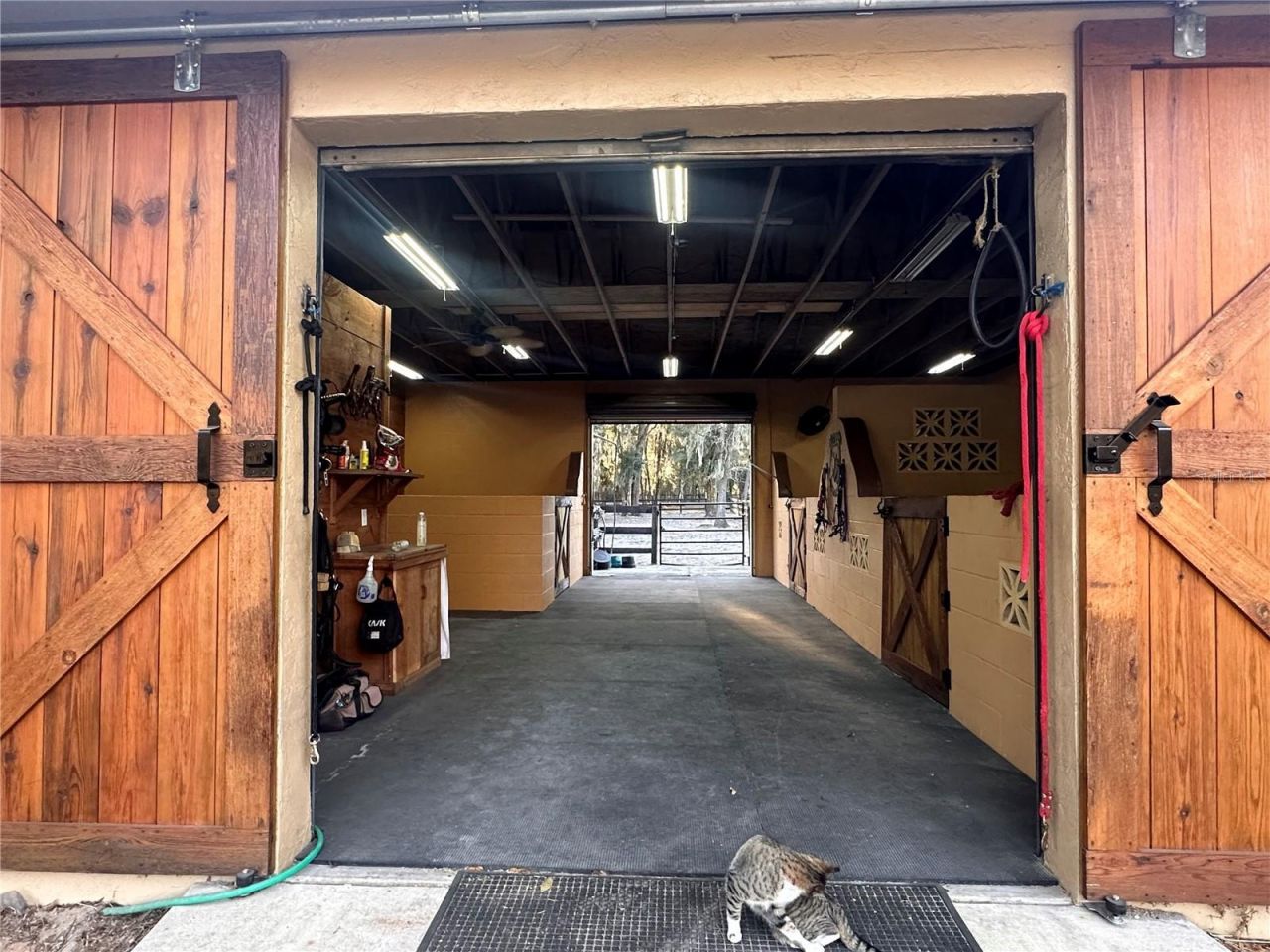 3551 E Highway 329, Anthony, FL 32617 Photo