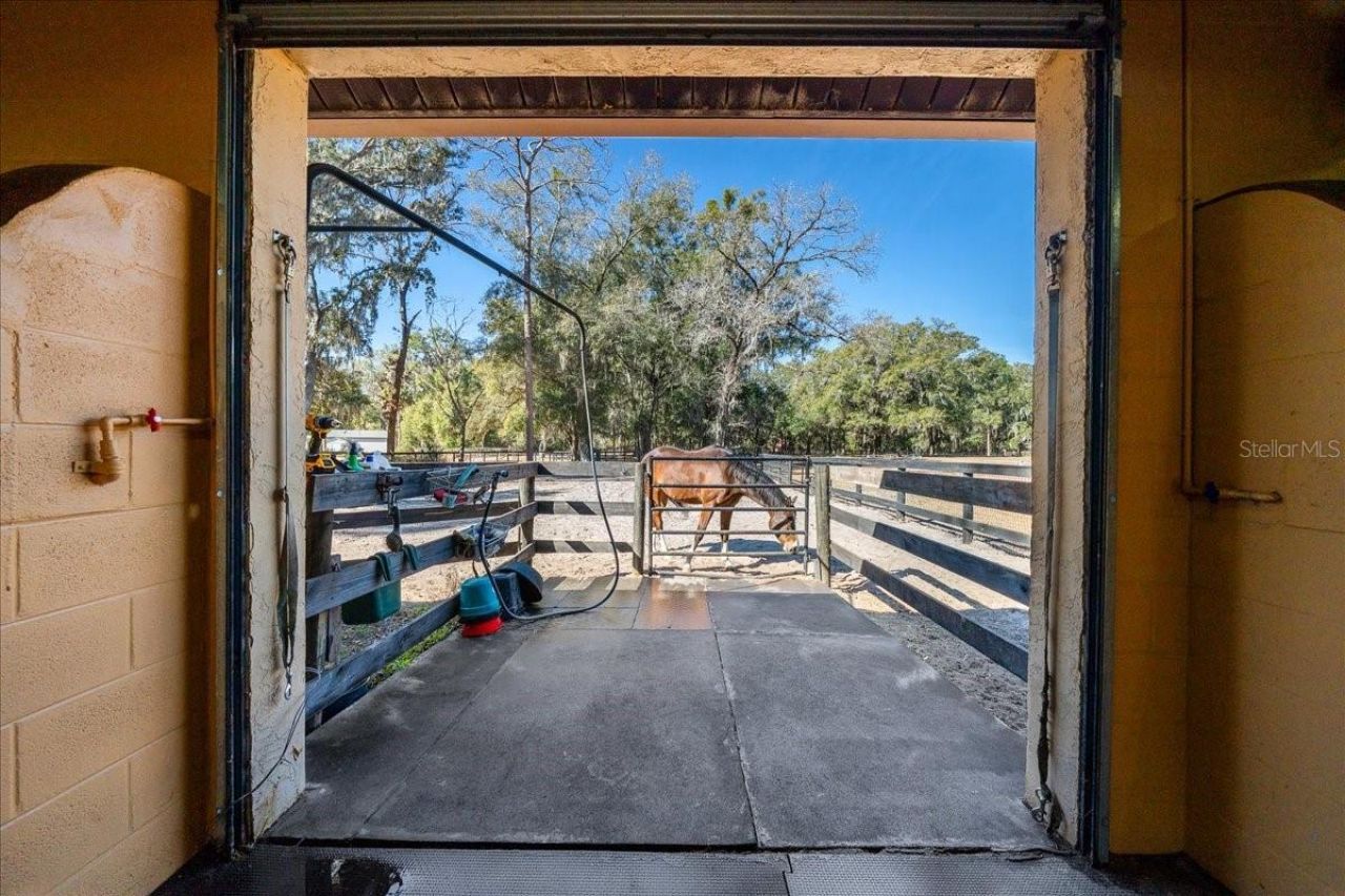 3551 E Highway 329, Anthony, FL 32617 Photo