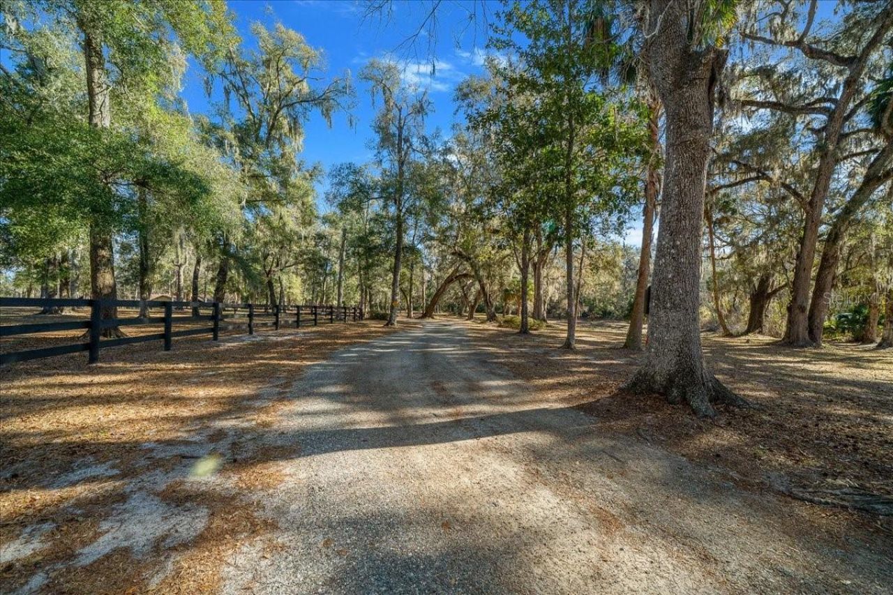 3551 E Highway 329, Anthony, FL 32617 Photo
