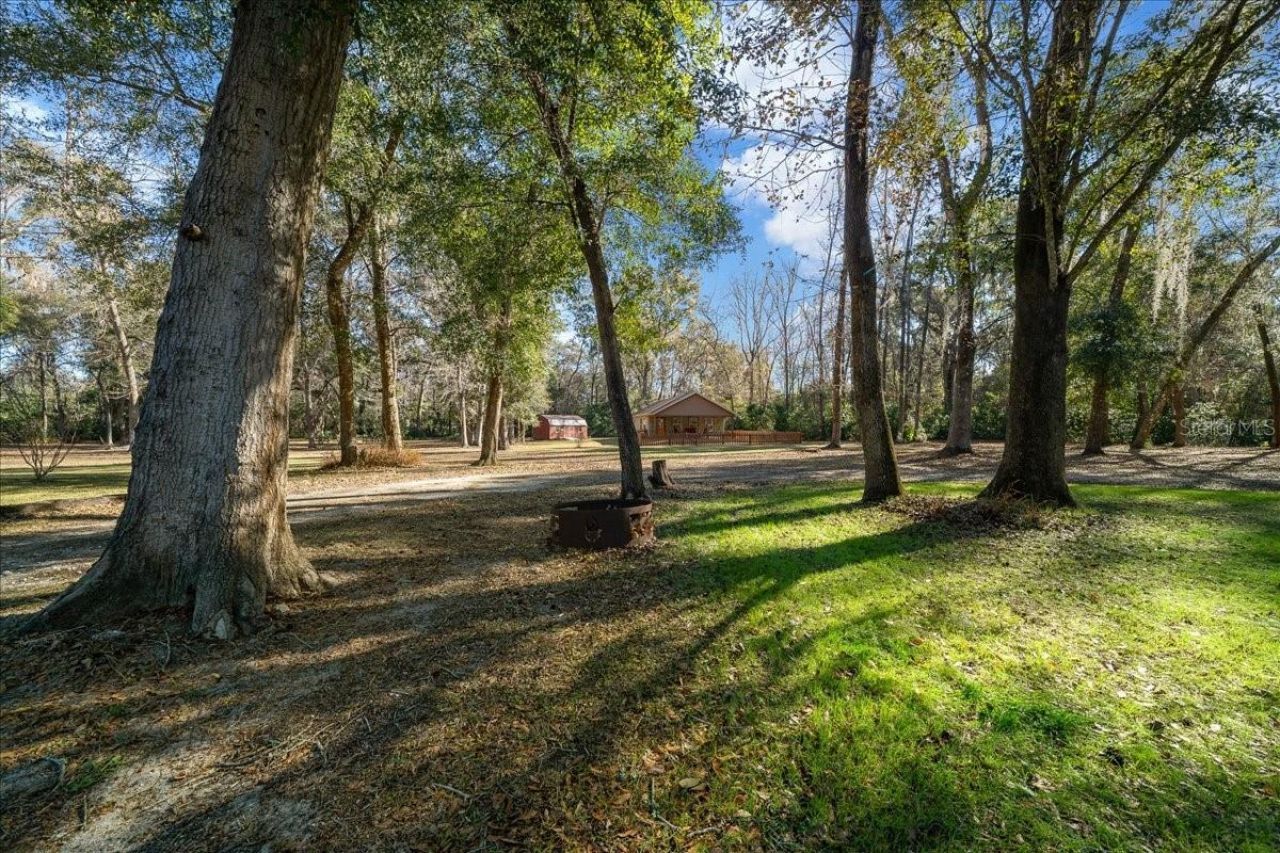 3551 E Highway 329, Anthony, FL 32617 Photo