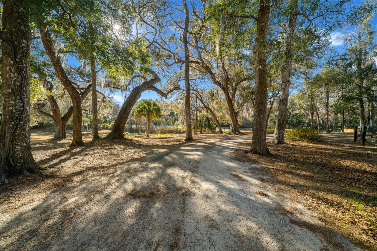 3551 E Highway 329, Anthony, FL 32617 Photo