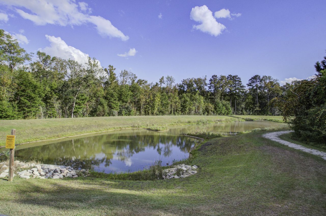 827 Kirby Court Photo 39