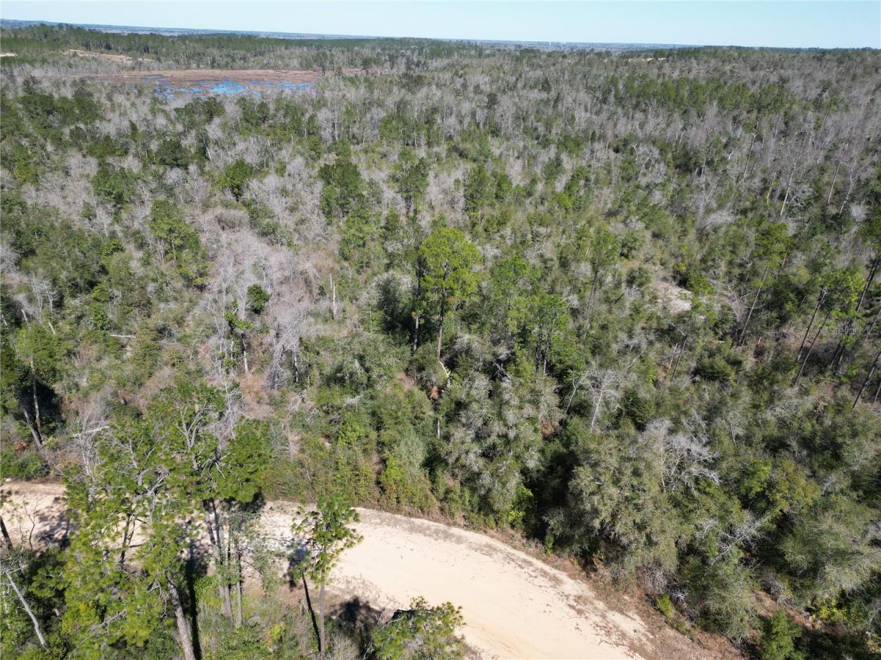 Blueberry Court, Alford, FL 32420 Photo