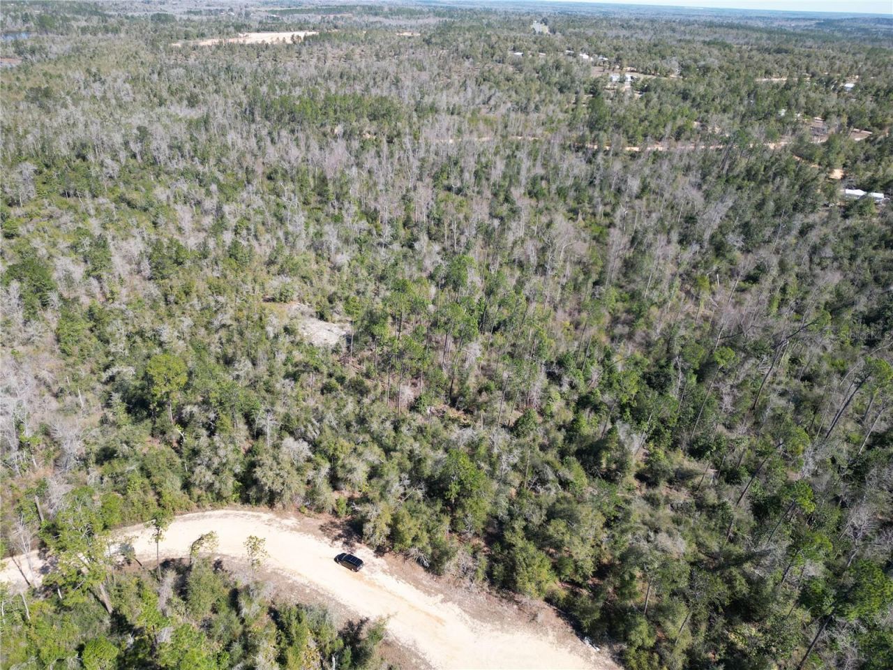 Blueberry Court, Alford, FL 32420 Photo