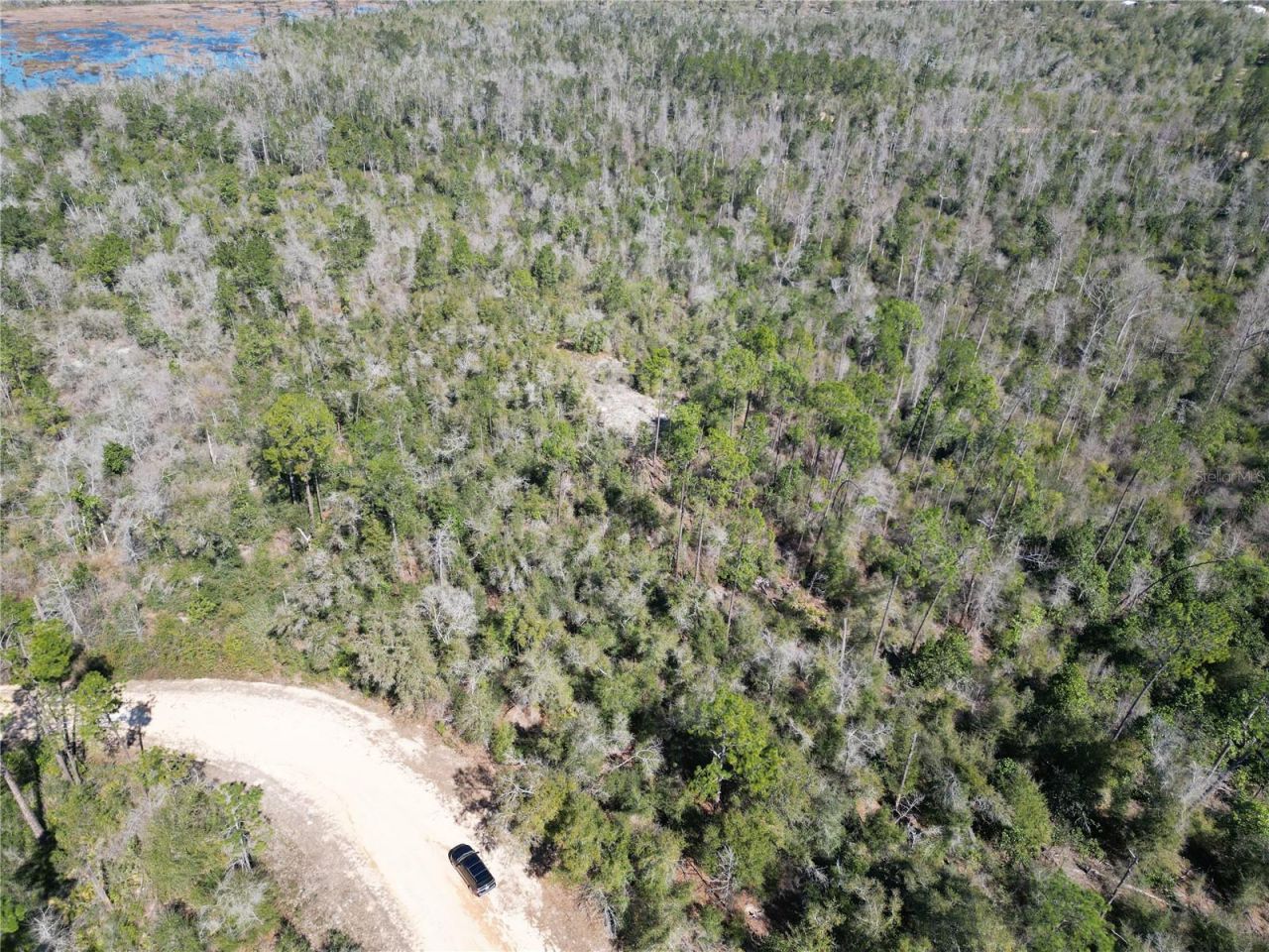 Blueberry Court, Alford, FL 32420 Photo