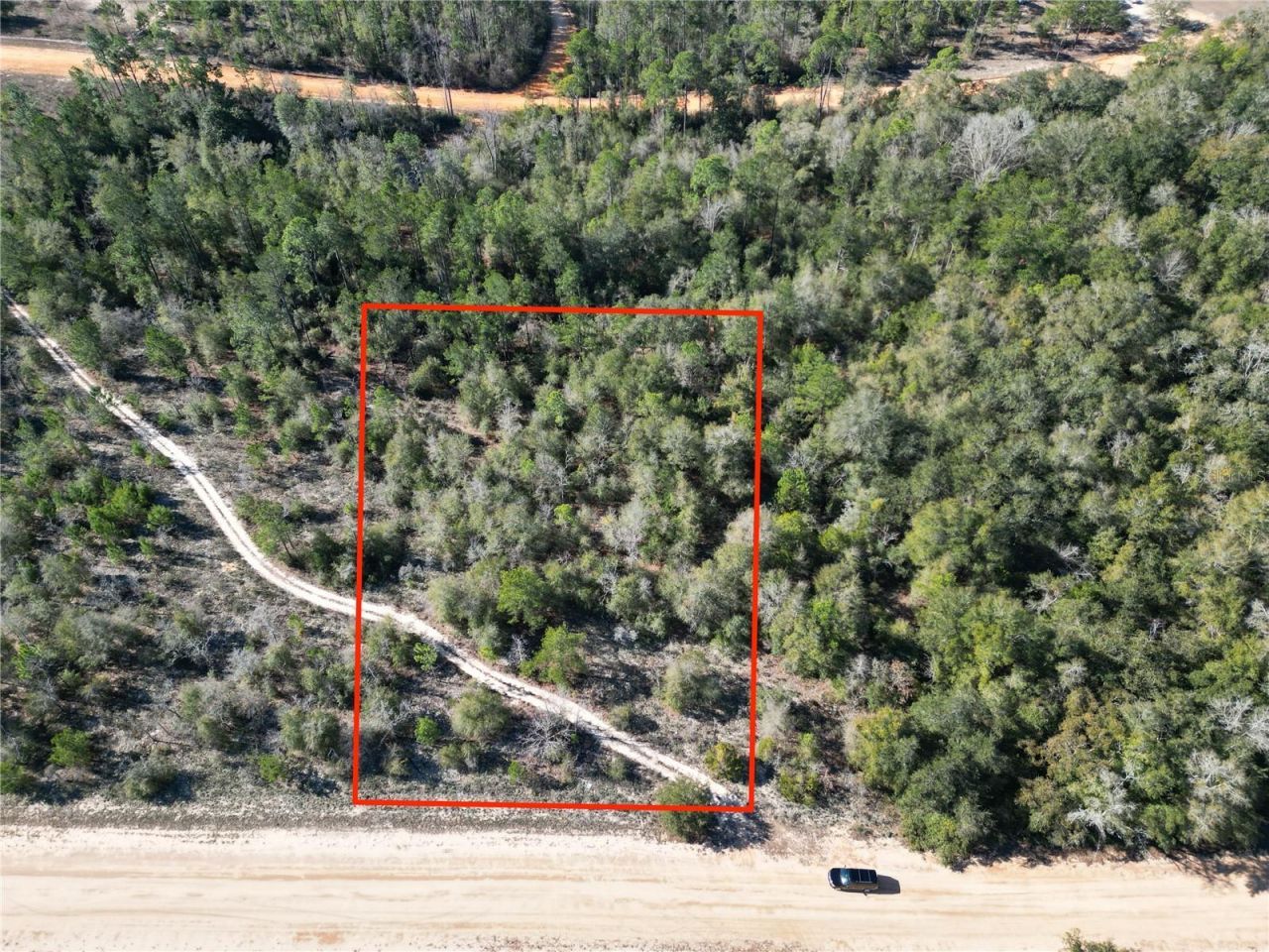 Cardinal Avenue, Marianna, FL 32448 Main Photo