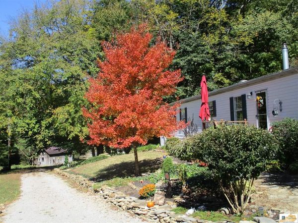 567 Branham Road , Burkesville, KY 42717