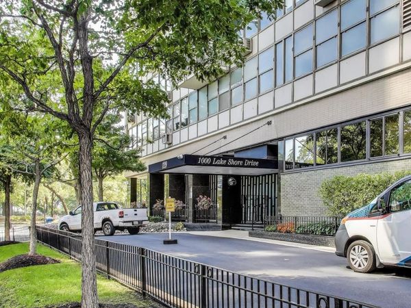 1000 N Lake Shore Drive, Unit 2009, Chicago, IL 60611