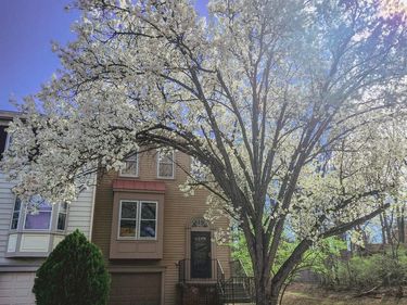 7261 SAINT LUCIA COURT, MANASSAS, VA 20109