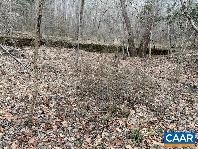 Old Sand Rd, Schuyler, VA 22969 Main Photo