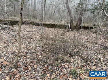 OLD SAND RD, Schuyler, VA 22969