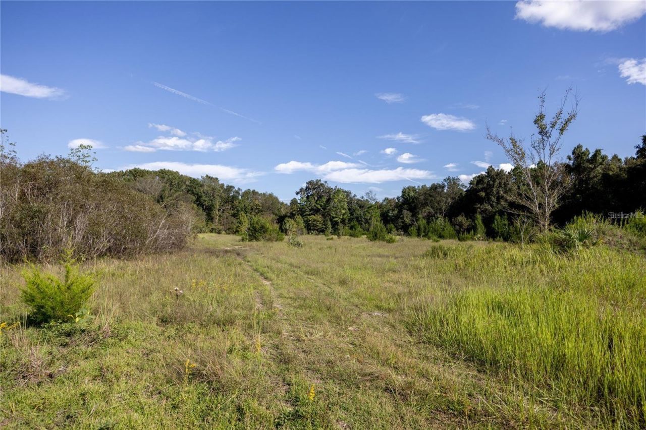 0 173rd Place, Inglis, FL 34449 Photo