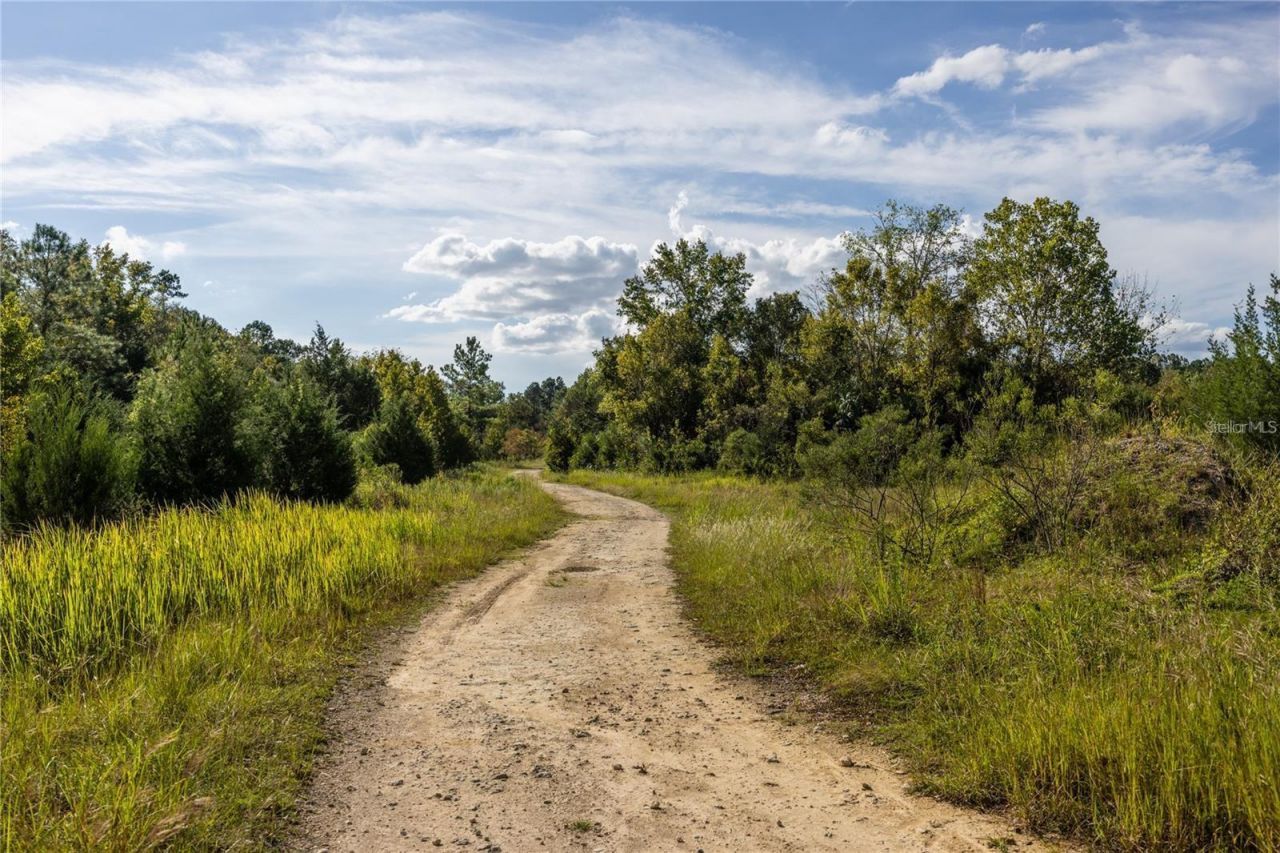 0 173rd Place, Inglis, FL 34449 Photo