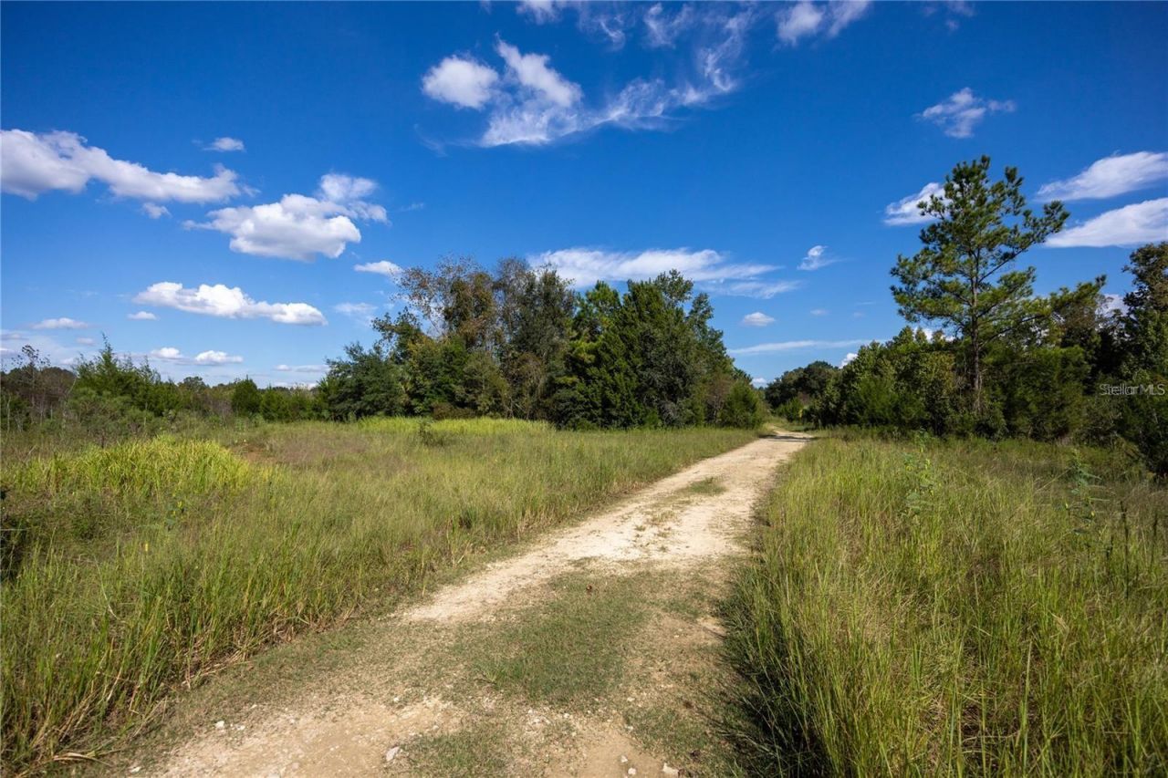 0 173rd Place, Inglis, FL 34449 Photo