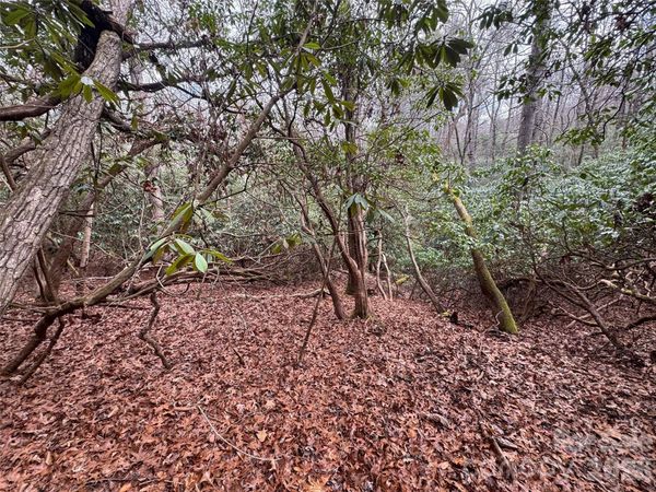 000 Falls Creek Court, Pisgah Forest, NC 28768