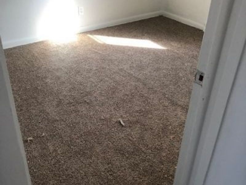 1351 Ivanhoe, Youngstown, OH 44502 Photo 15