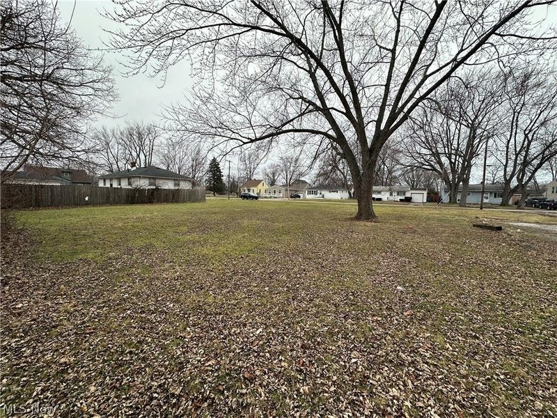 V/L Maryland Avenue, Lorain, OH 44052 Photo 3