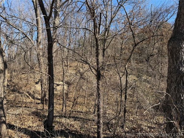 Martin Luther King Avenue , Hominy, OK 74035