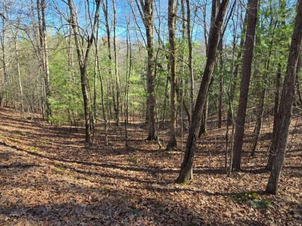 LOT 12 Oak Loop, Unit 12, Mineral Bluff, GA 30559