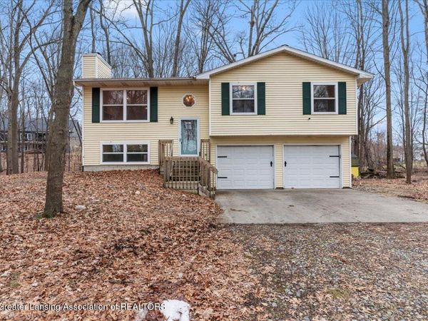 9602 Balfor Court, Laingsburg, MI 48848