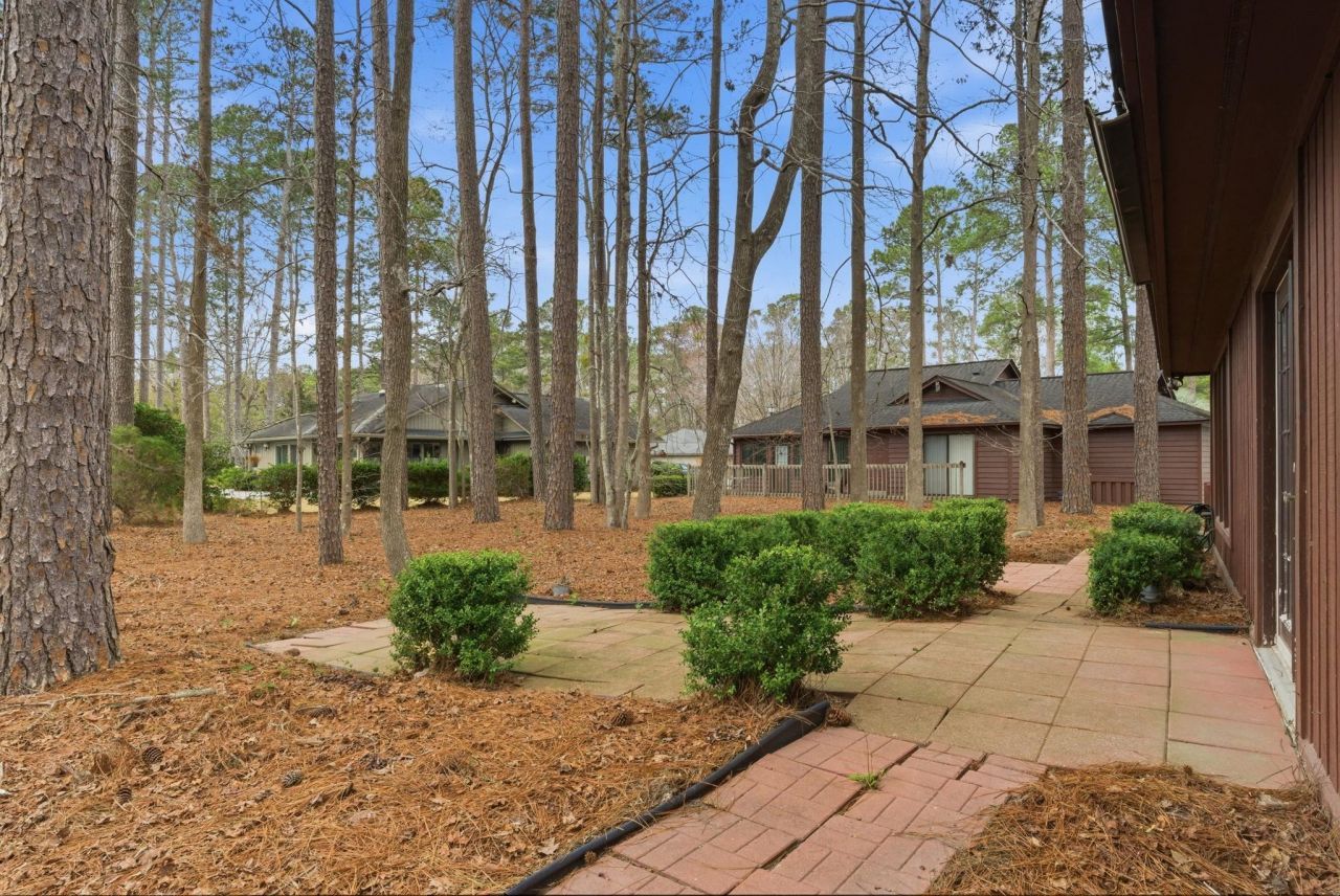 100 Timberline Dr. Photo 28