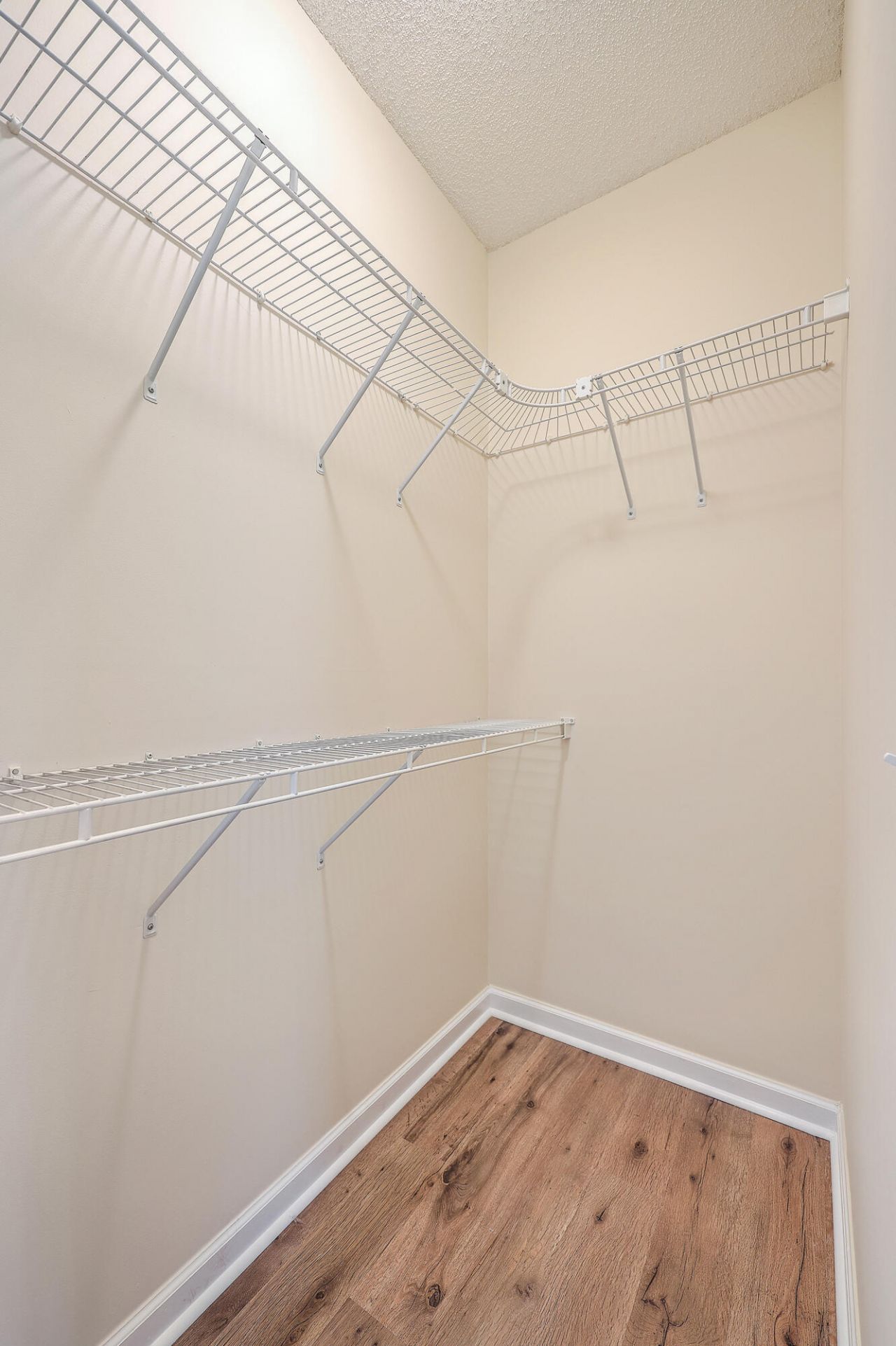 195 Fox Squirrel Run Photo 20