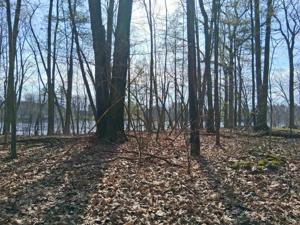 TWIN PINE LANE, Porterfield, WI 54159