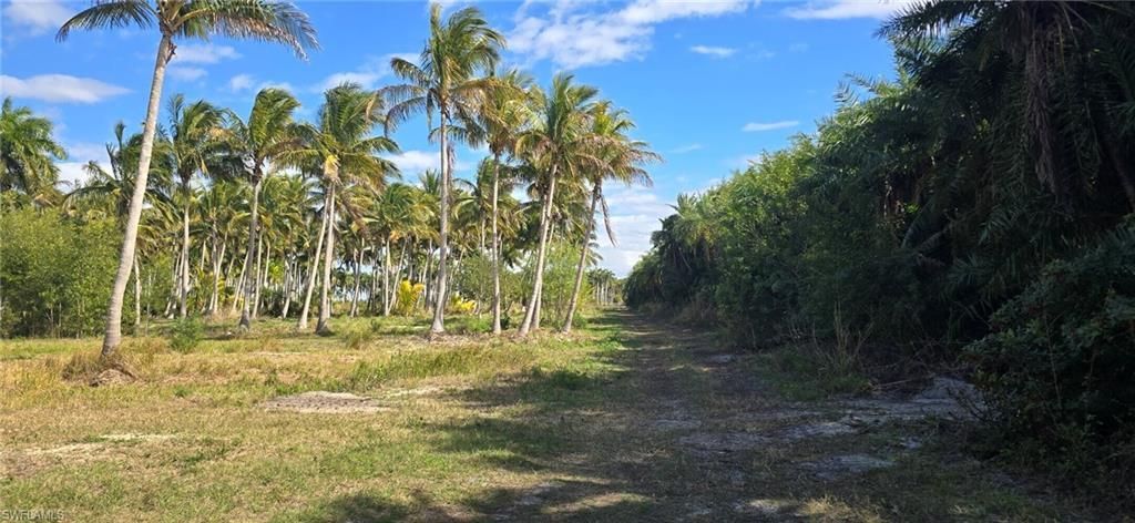 0 Lada Ln , Bokeelia, FL 33922 Photo