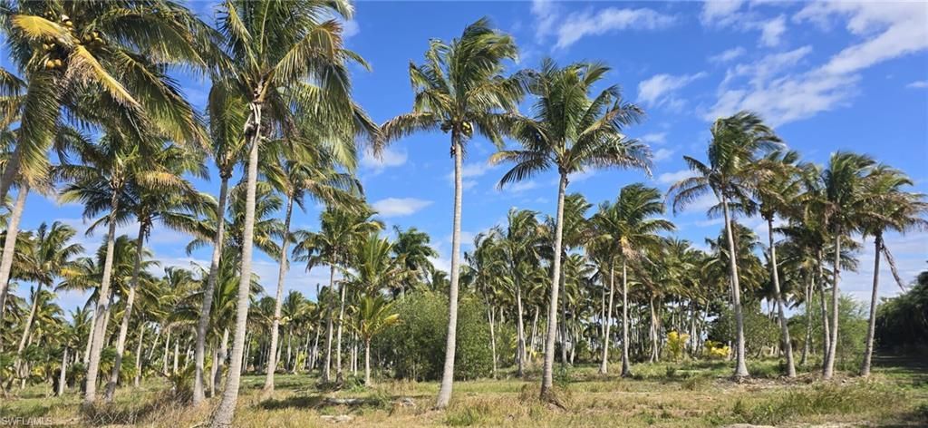 0 Lada Ln , Bokeelia, FL 33922 Photo