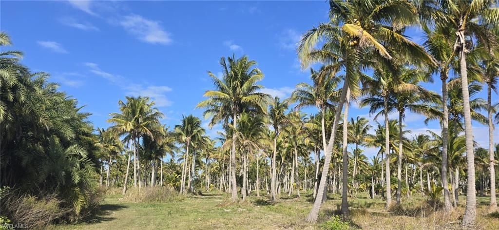 0 Lada Ln , Bokeelia, FL 33922 Photo