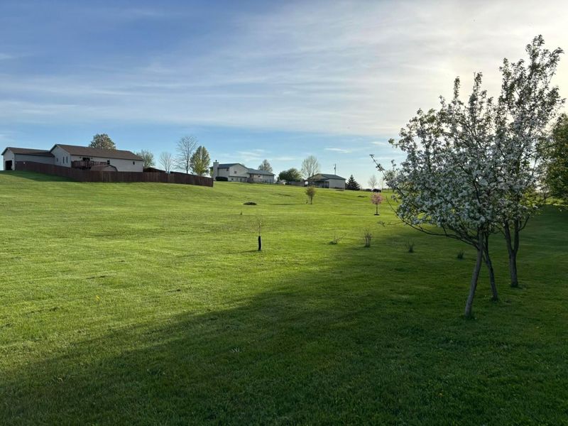 6075 Township Road 107, Mount Gilead, OH 43338 Photo 58